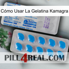 Cómo Usar La Gelatina Kamagra new15